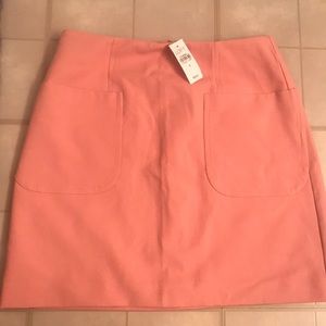 Ann Taylor Loft Pink skirt. Brand new never worn